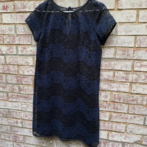 Ann Taylor Loft Black Navy Blue Striped Lace Sheer Shift Dress Sz 8 -NWT - Picture 2 of 14